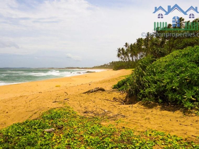 WP-cs277