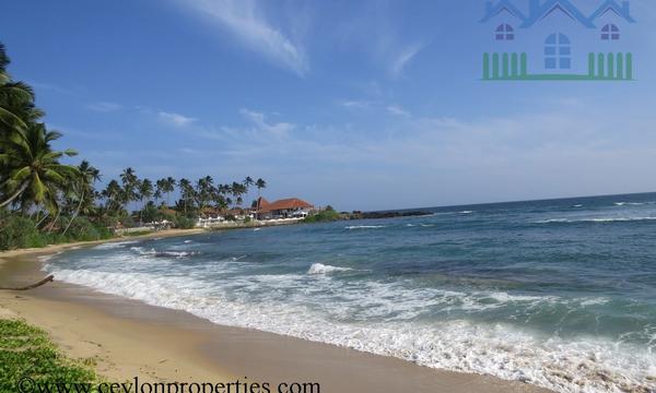 CS198- Tropical Land With Scenic Beach