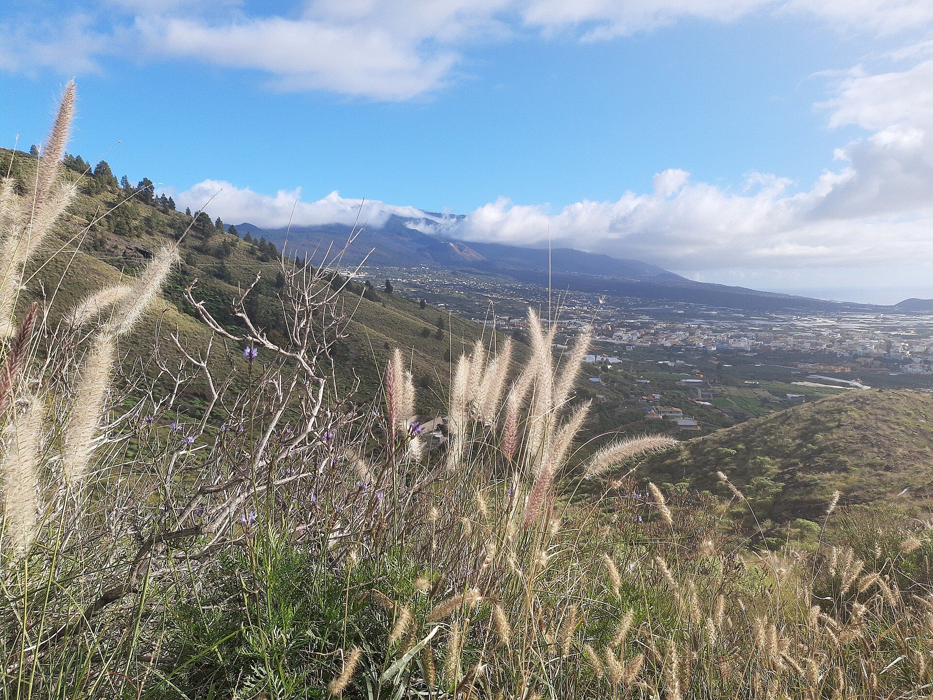 La Palma — Cumbre Vieja from Los Llanos