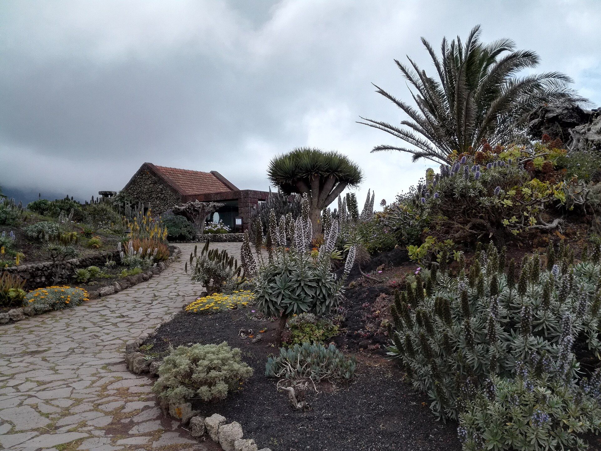 El Hierro — Mirador de la Peña