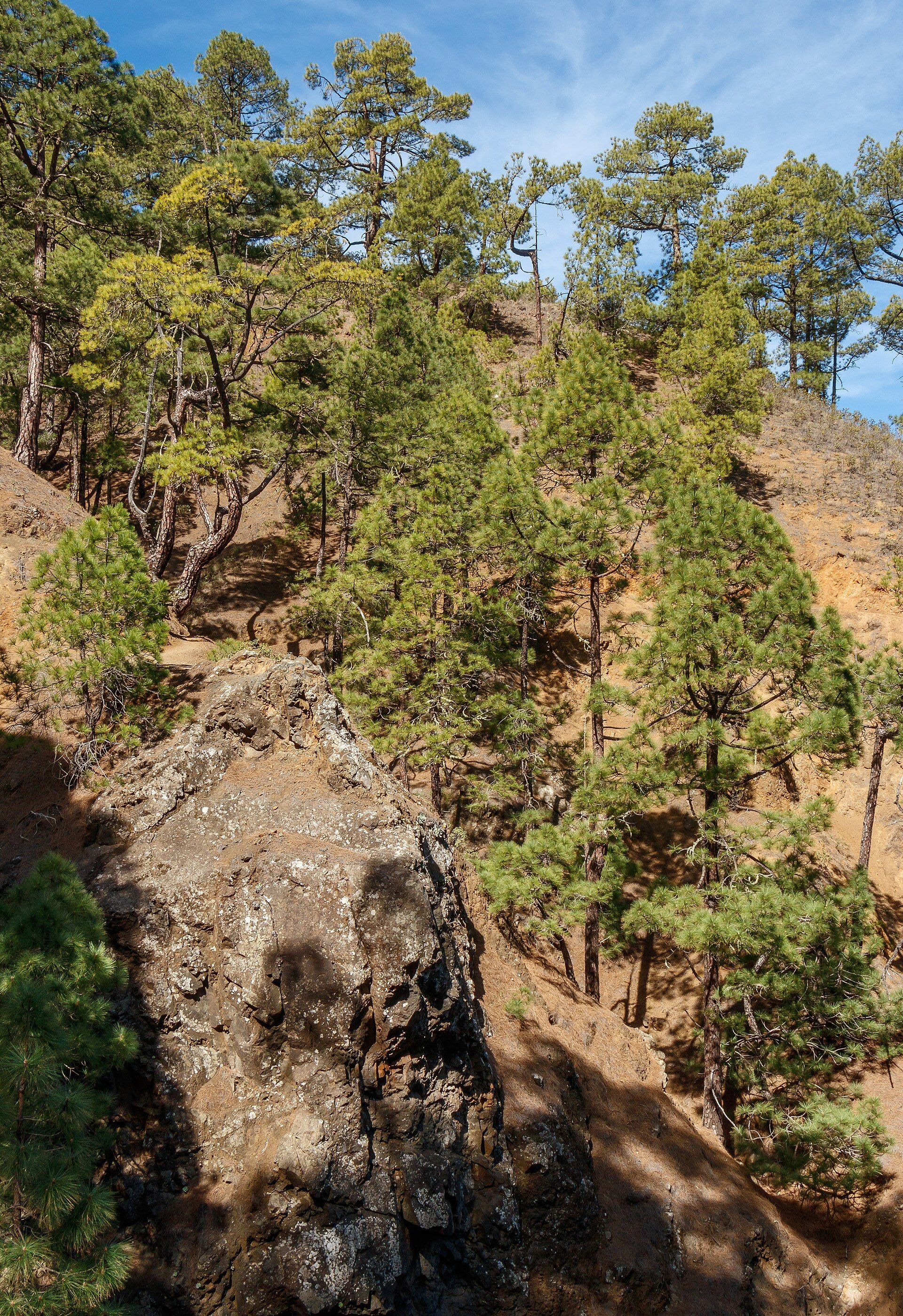 La Palma — Caldera de Taburiente ravine