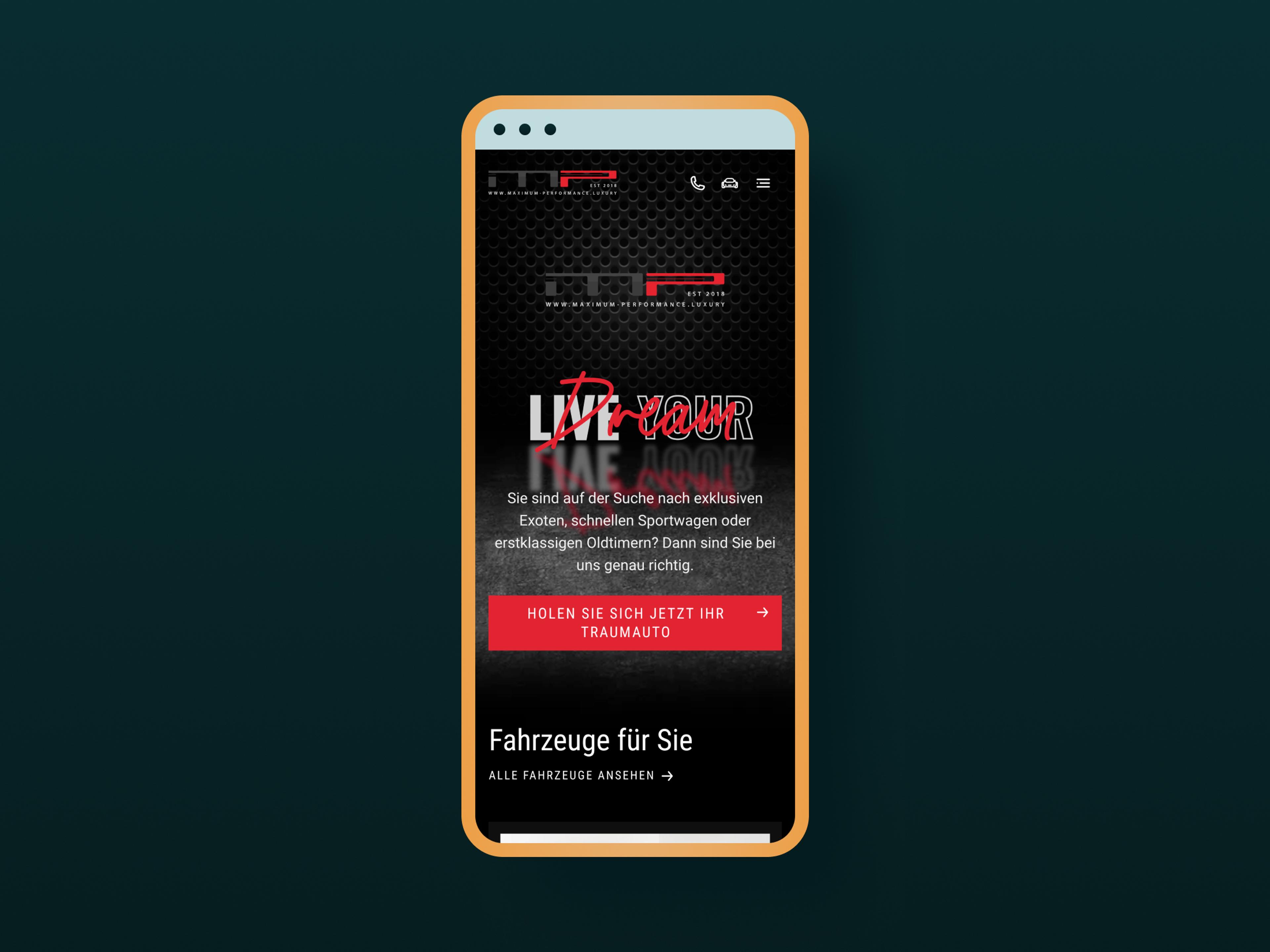 Maximum Performance Screen 13