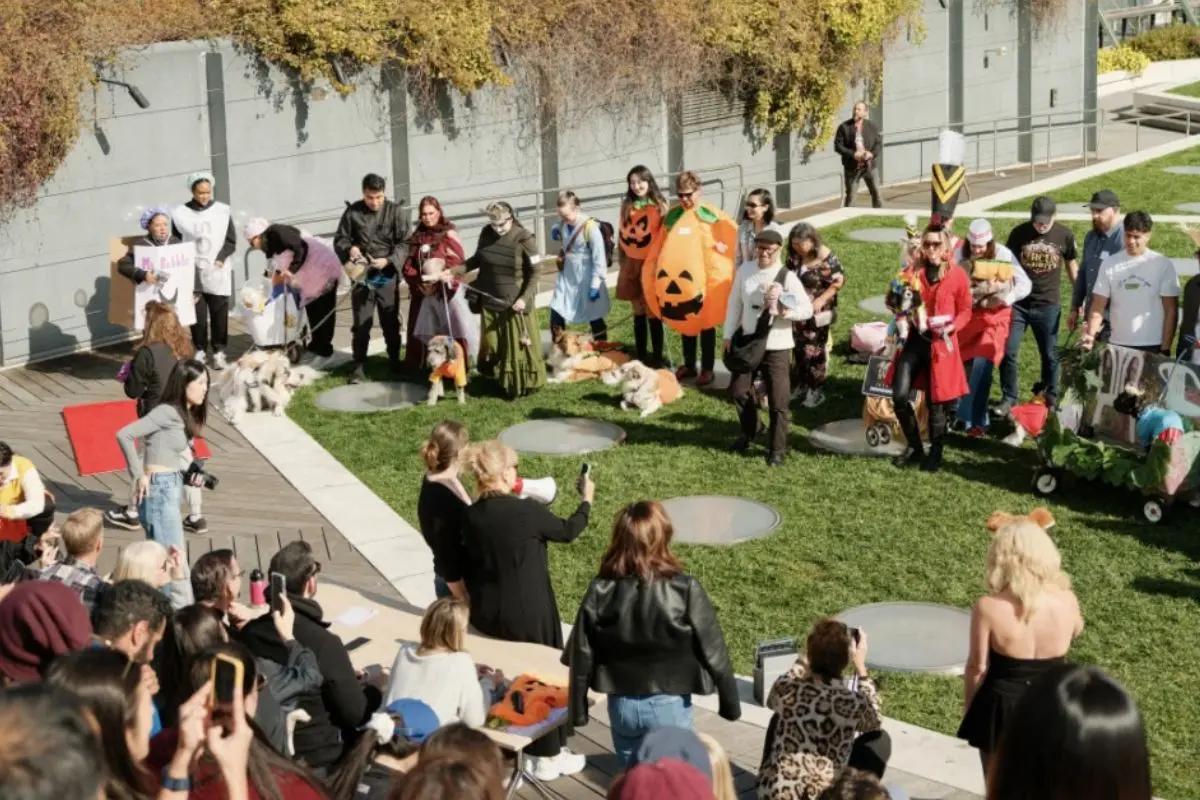 Barktoberfest at Pier 57