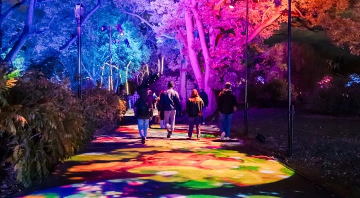 Lightscape