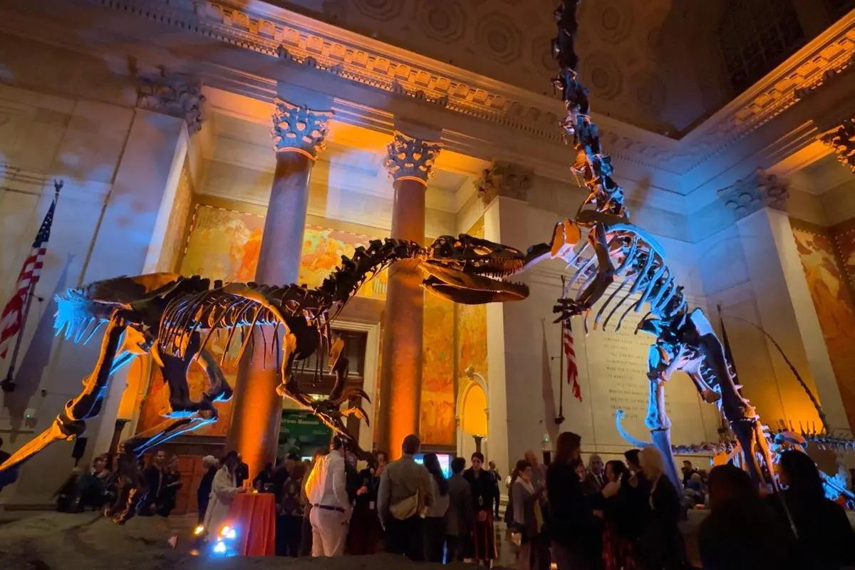 Halloween Celebration at AMNH