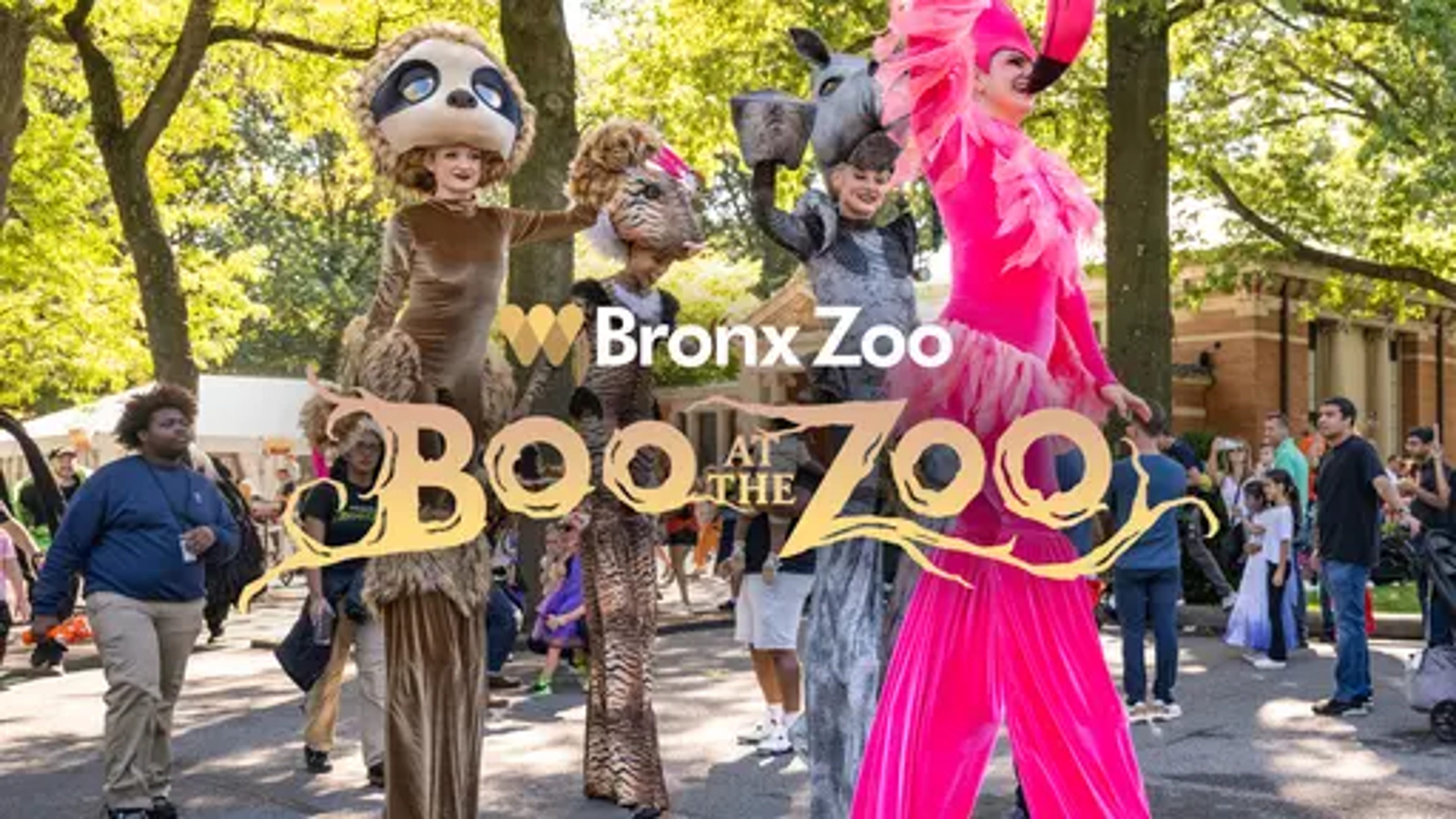 Boo at the Zoo