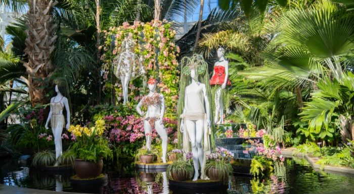 Orchid art installation in the New York Botanical Garden
