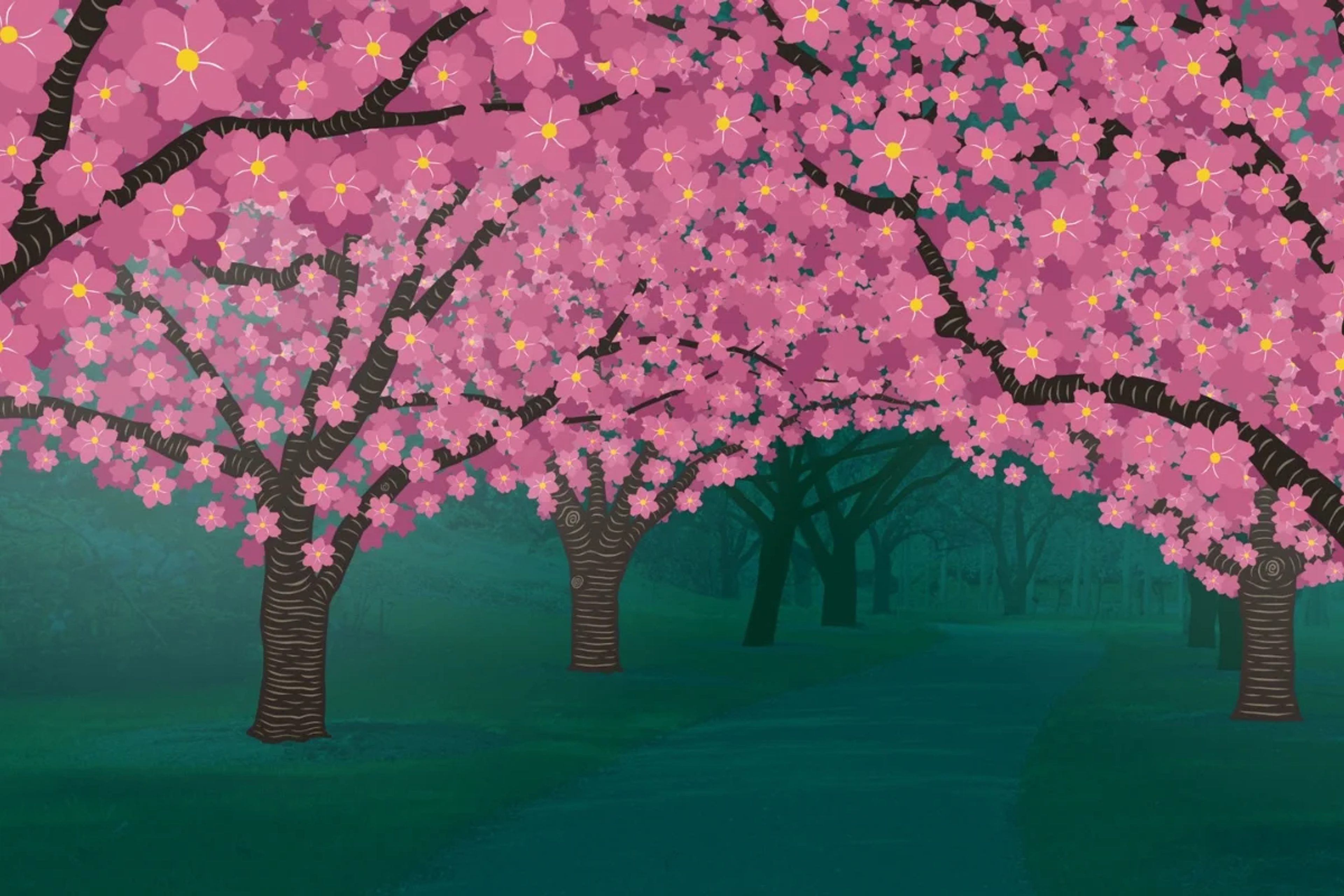 Hanami Nights poster