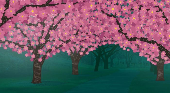 Hanami Nights poster