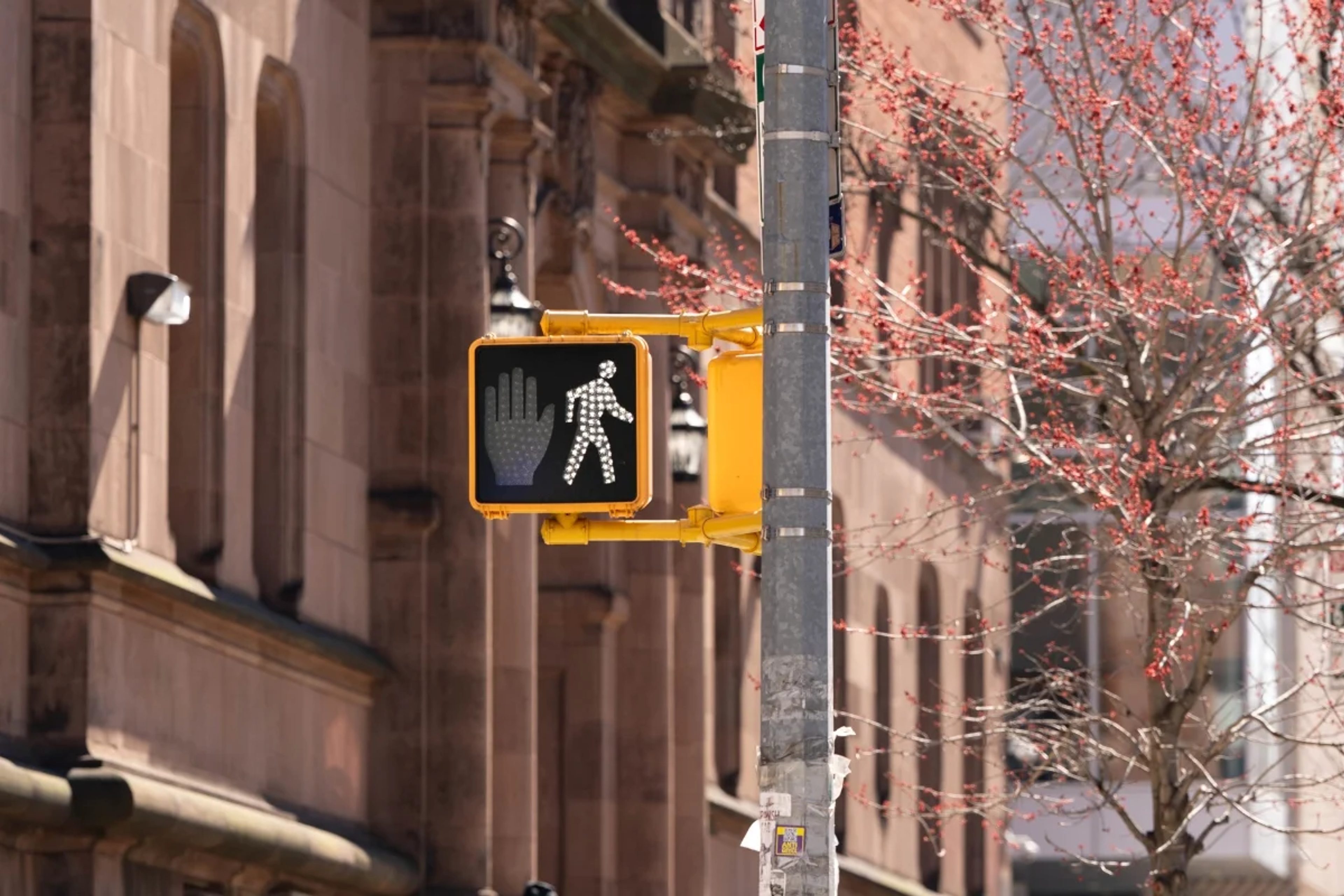 Fussgängerampel in New York