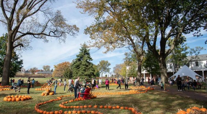 Governors Island Pumpkin Point