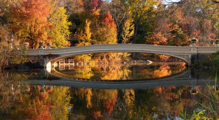 Central Park Bow Bridge in the morning light during peak fall foliage