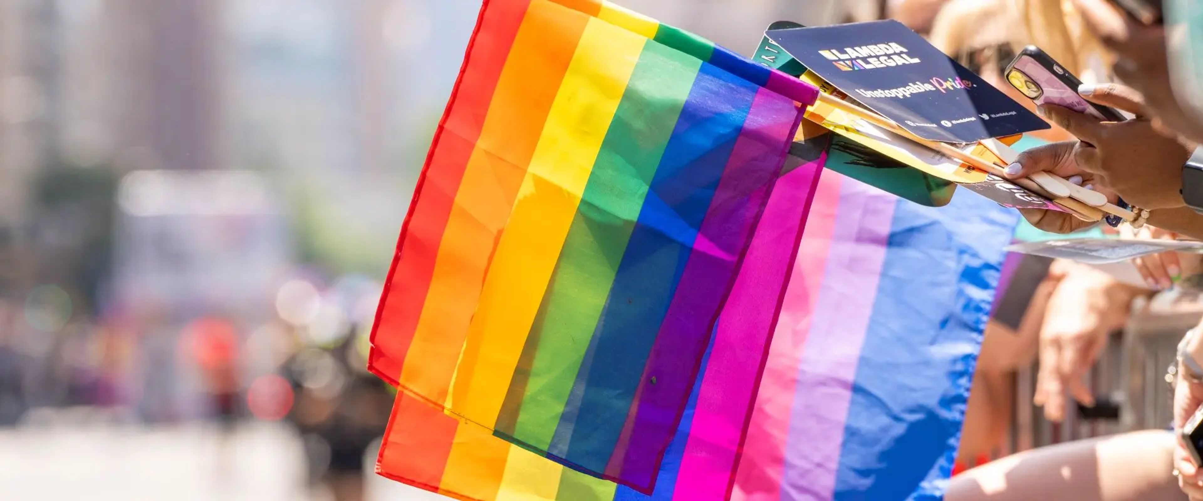 Pride in New York