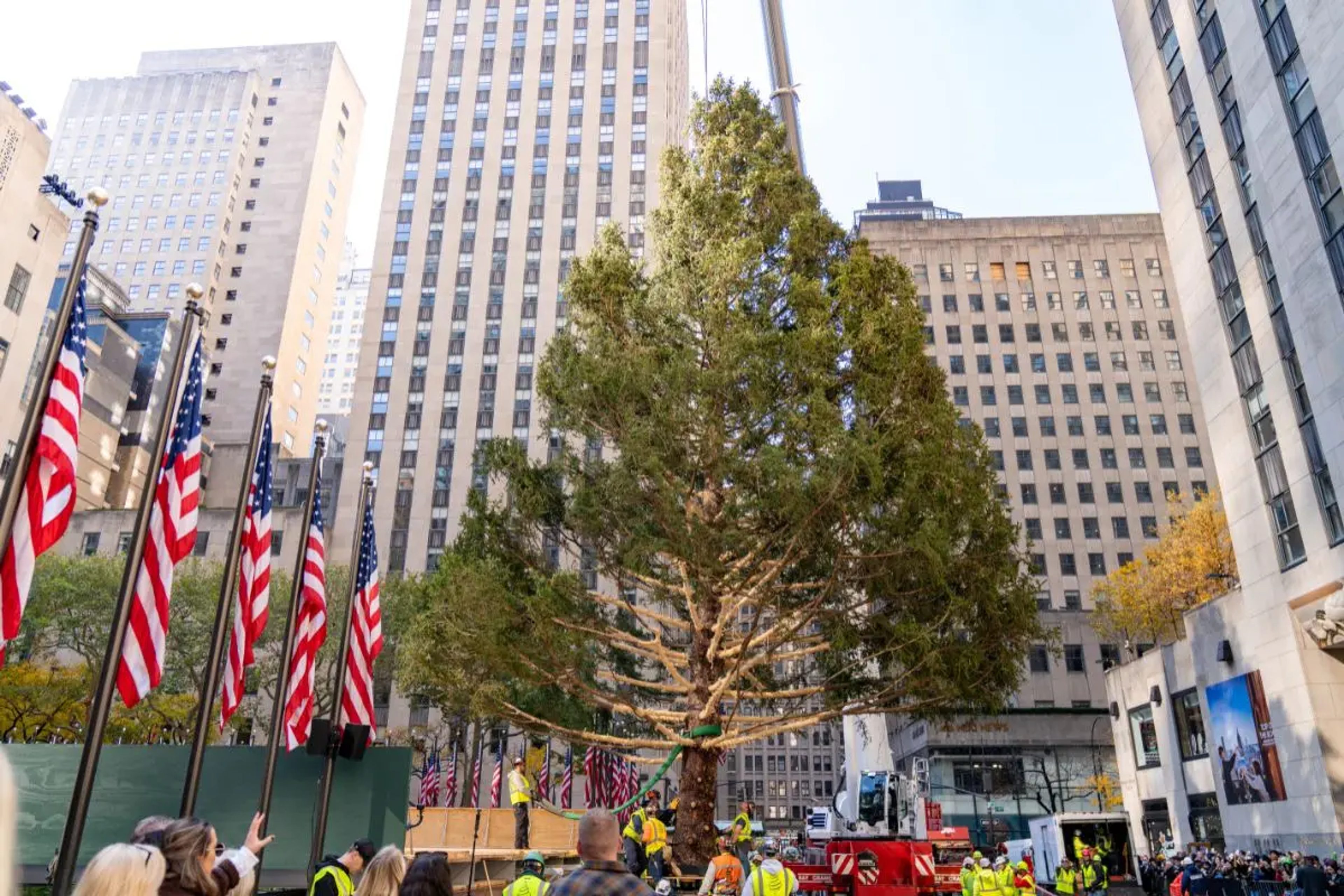 Rockefeller Center Tree Arrival