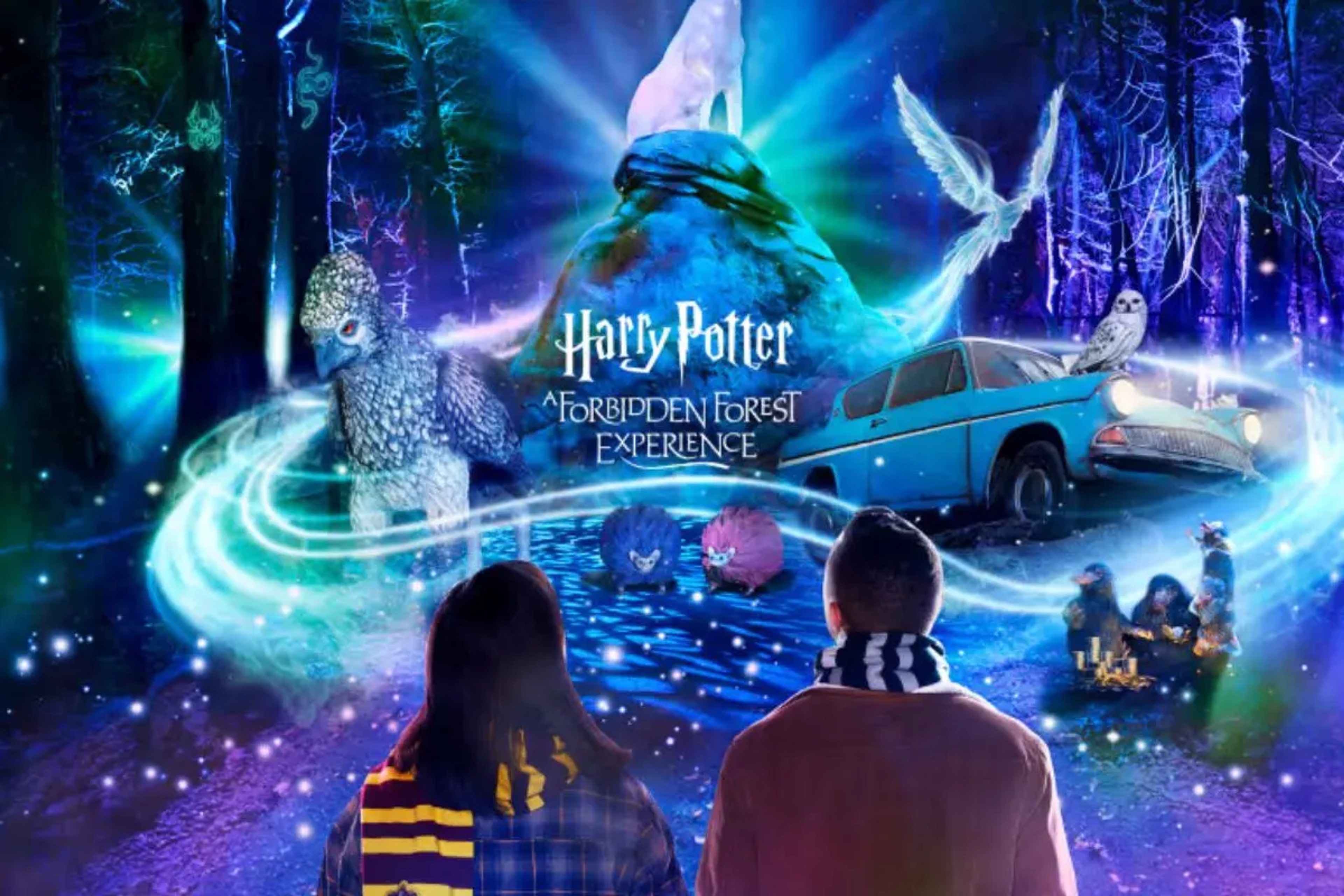 Harry Potter: A Forbidden Forest