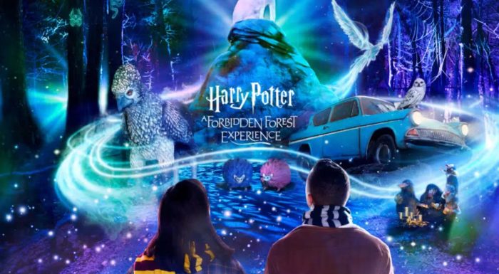 Harry Potter: A Forbidden Forest