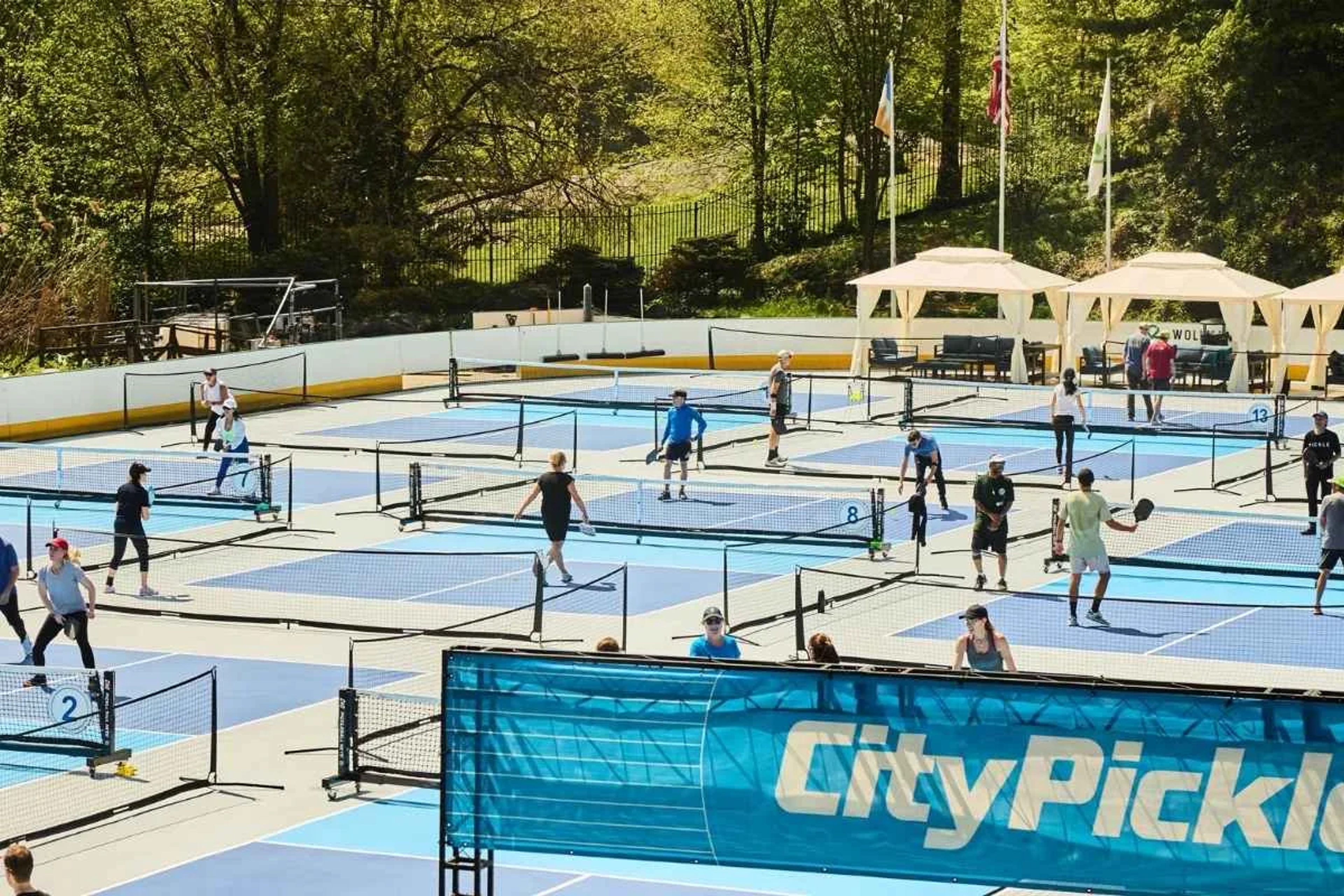 Pickleball in Central Park