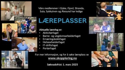 Ledige læreplasser 2025