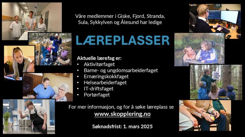 Ledige læreplasser 2025