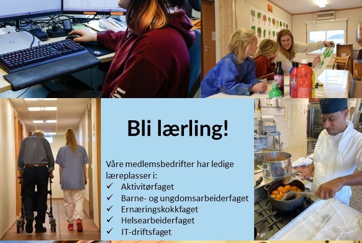 Ledige læreplasser - Bli lærling!