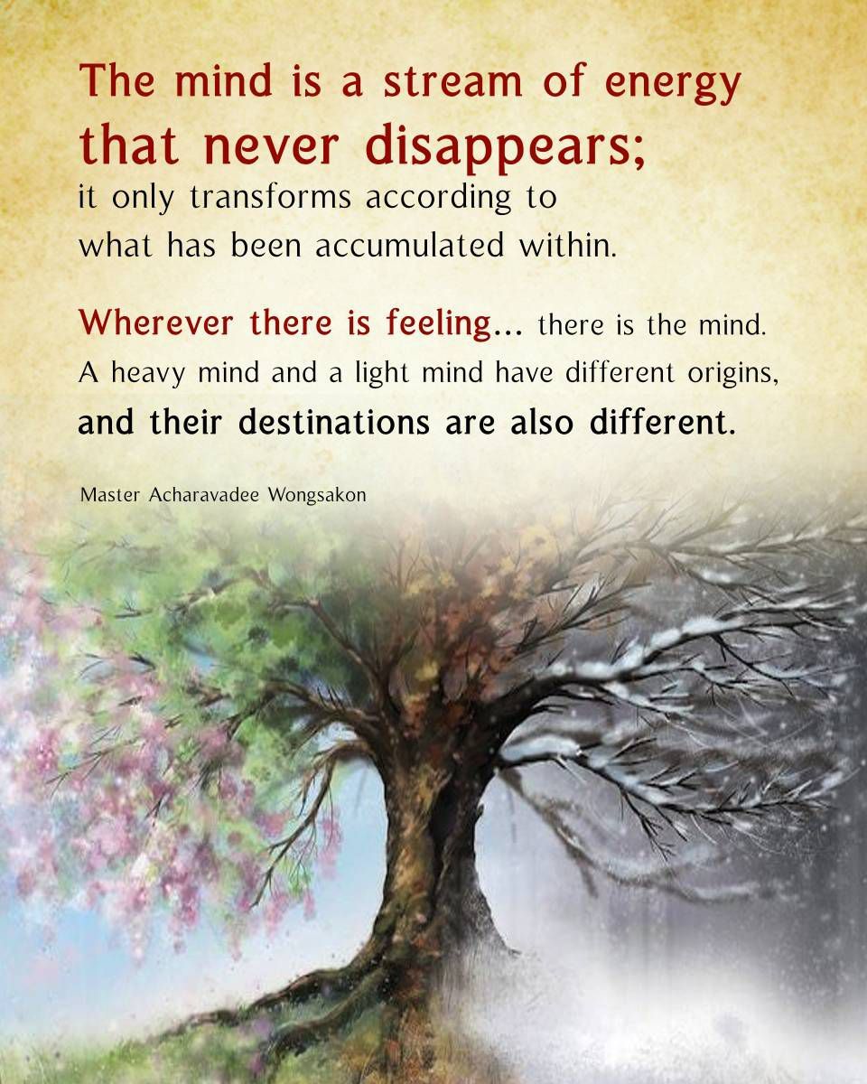Heavy Mind, Light Mind