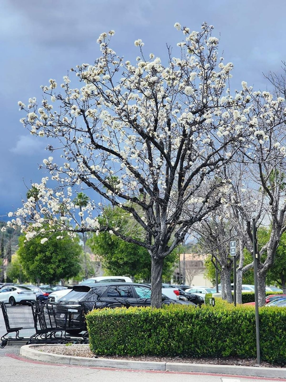 Bangkok is very hot while LA’s temperature is colder at 9°C.