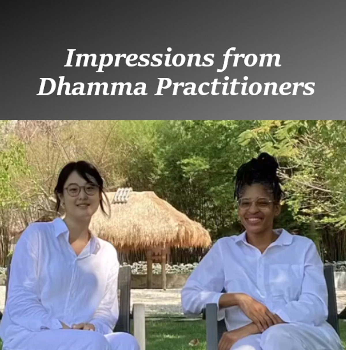 Impressions from Dhamma Practitioners