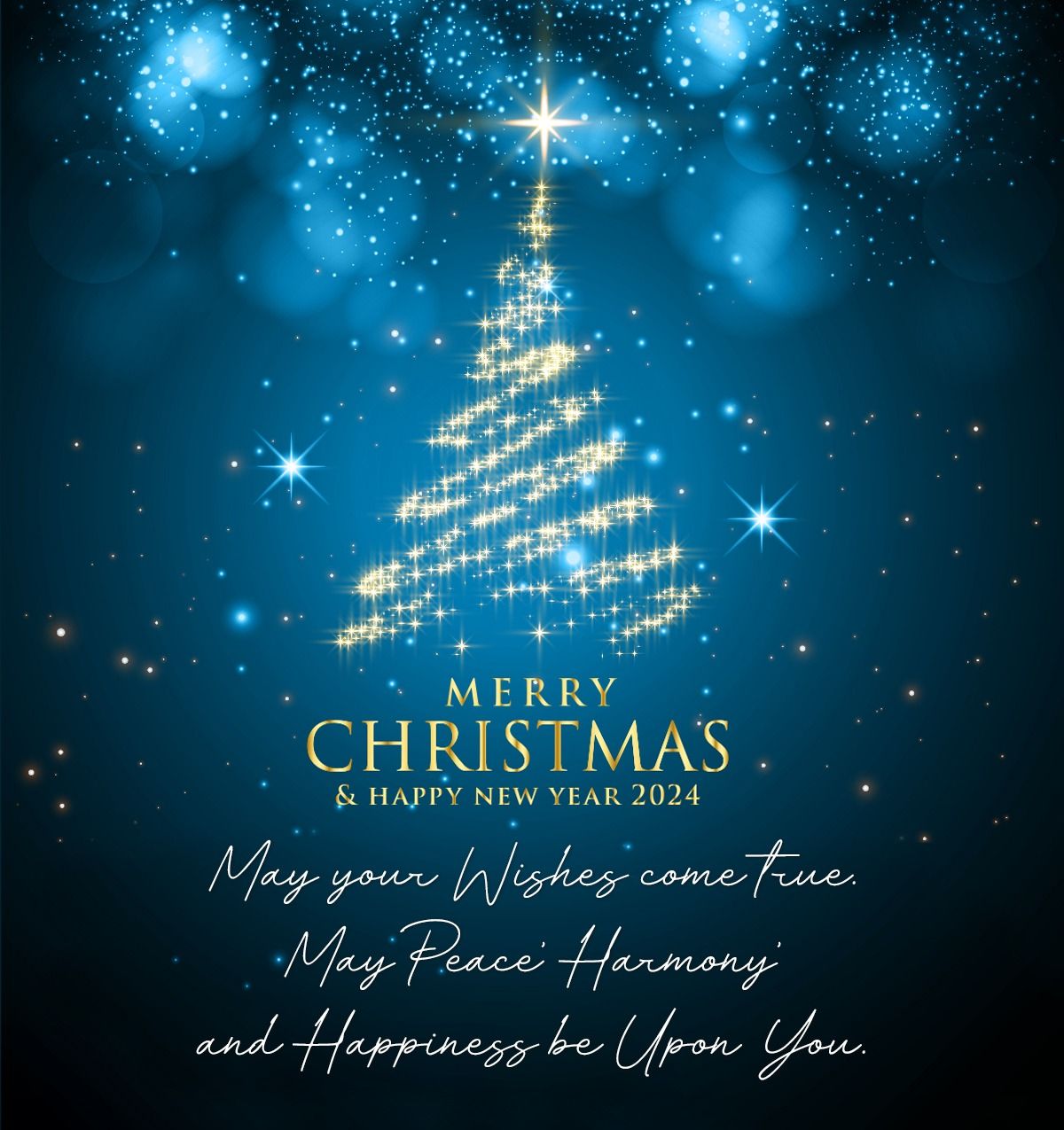 Merry Christmas & Happy New Year 2024