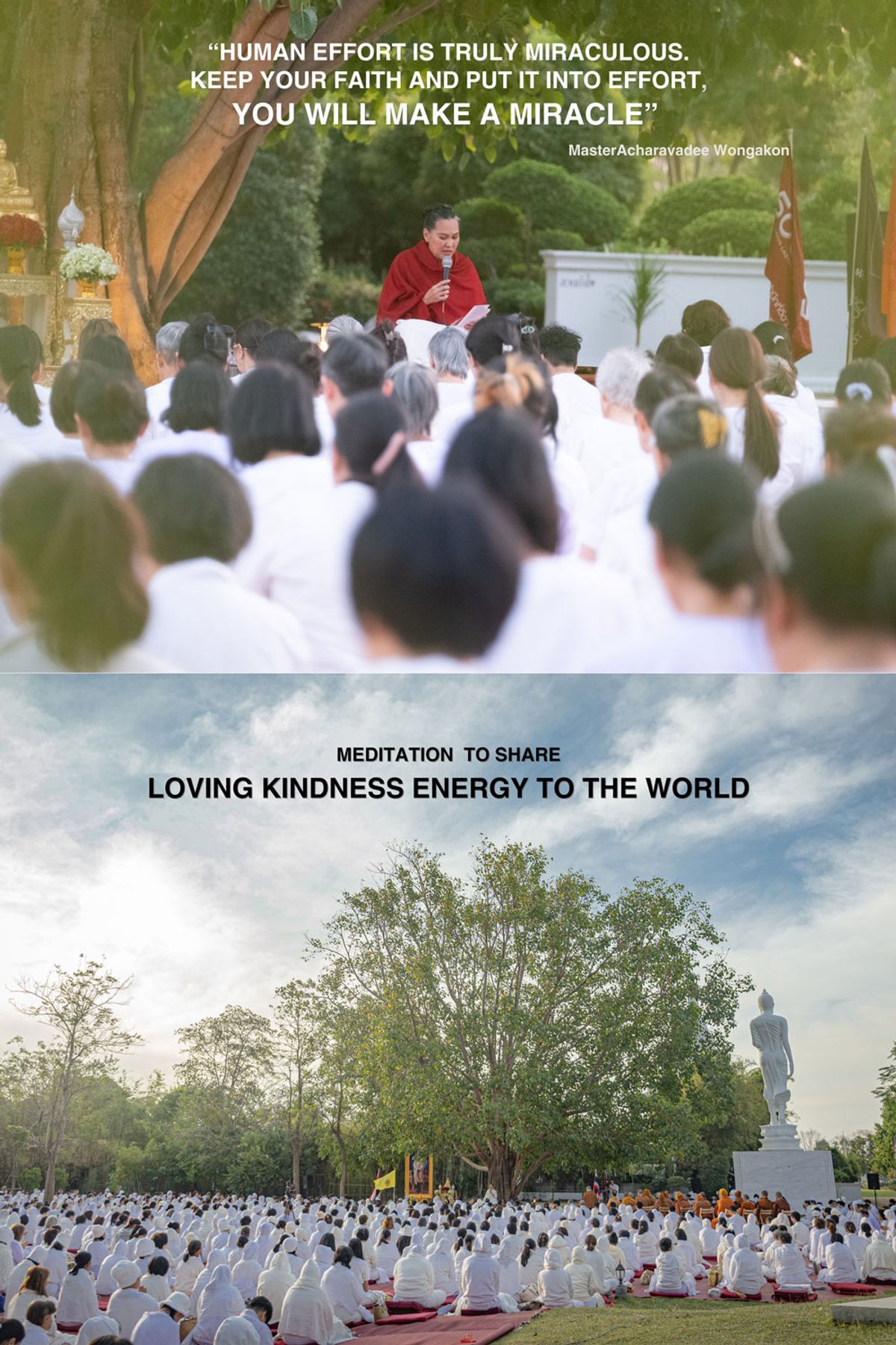World Need Loving Kindness Energy