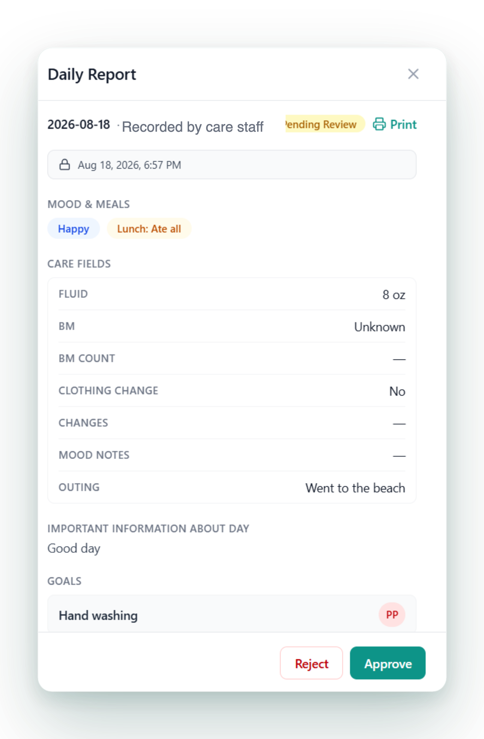 Director daily report