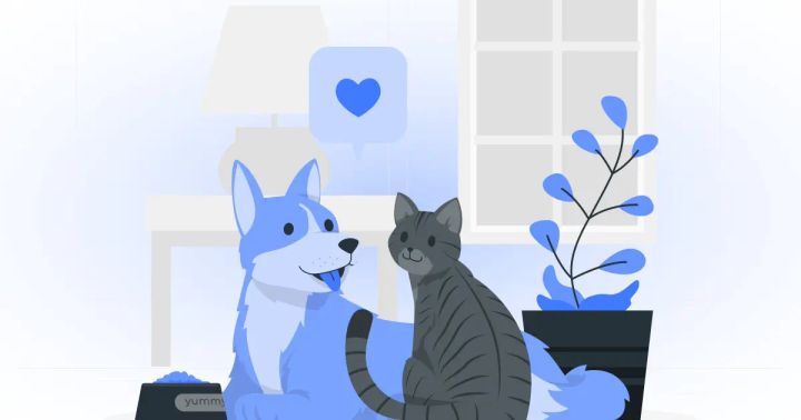 Vet-On-Demand App Development Guide