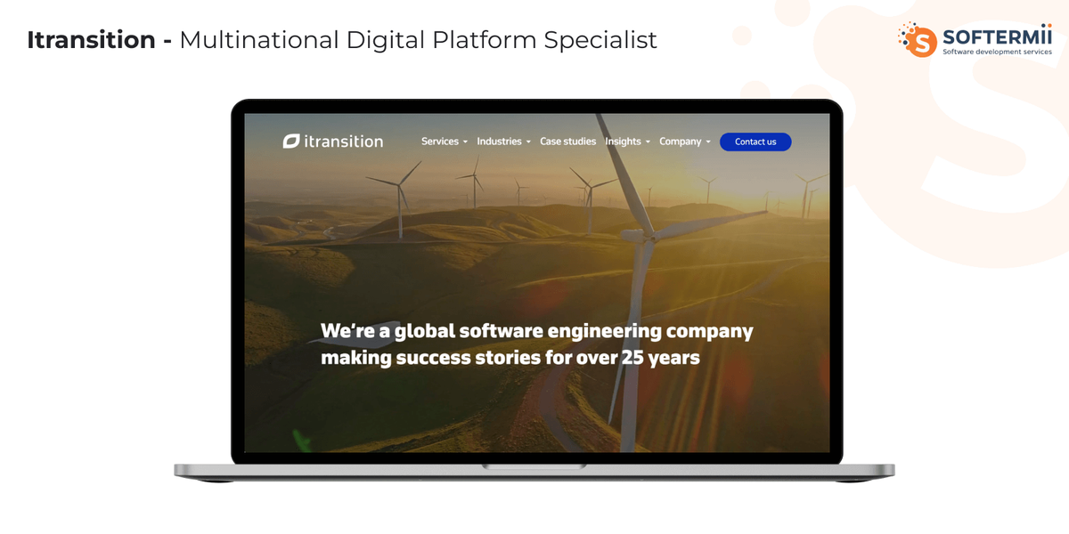 Intransition IT consulting