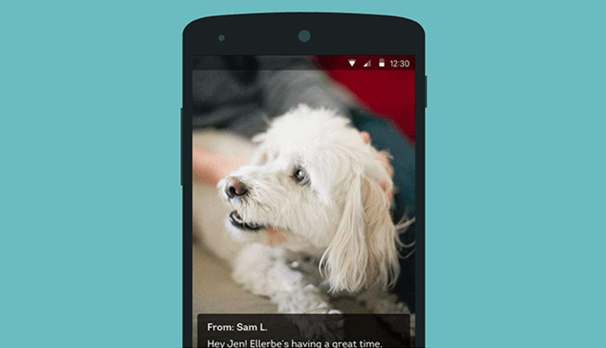 DogVacay marketplace connecting pet owners with five-star sitters