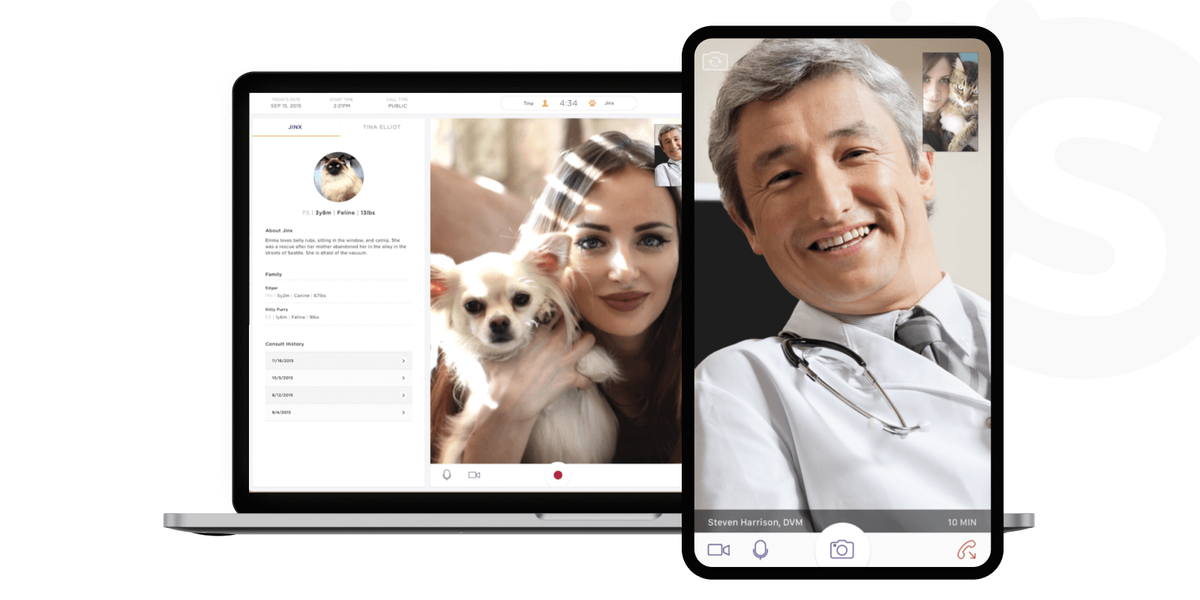 Custom veterinary app