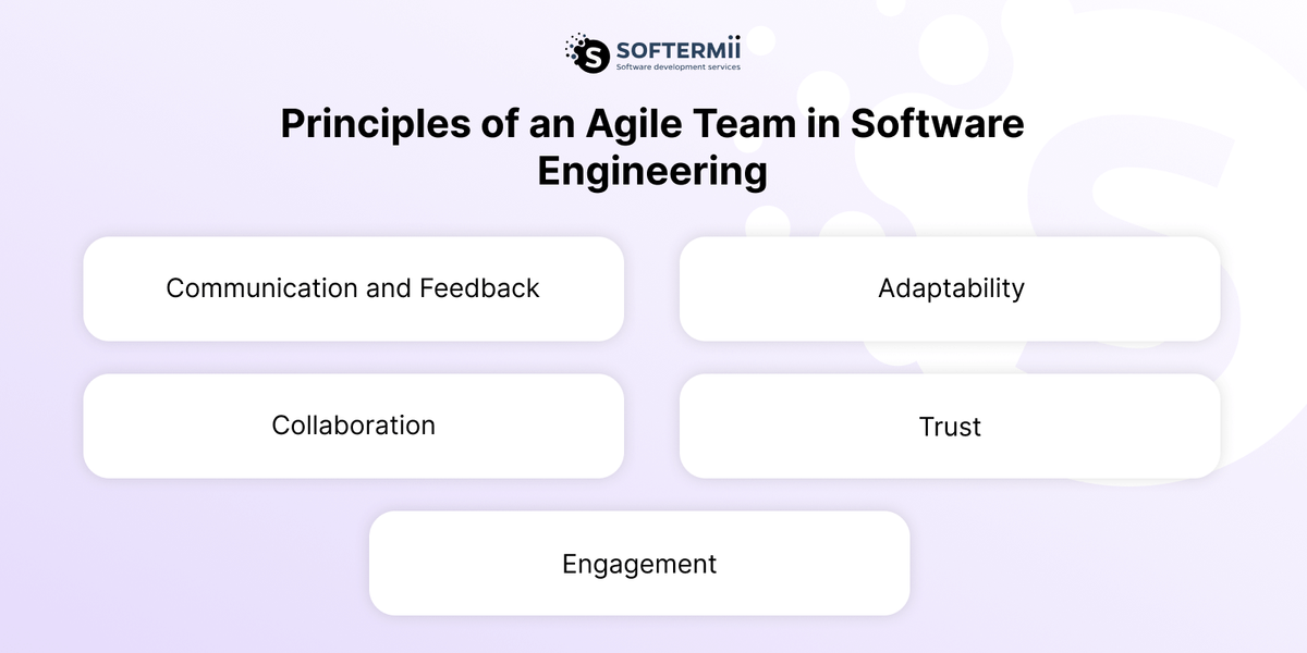 Agile software development team