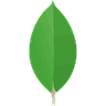MongoDB