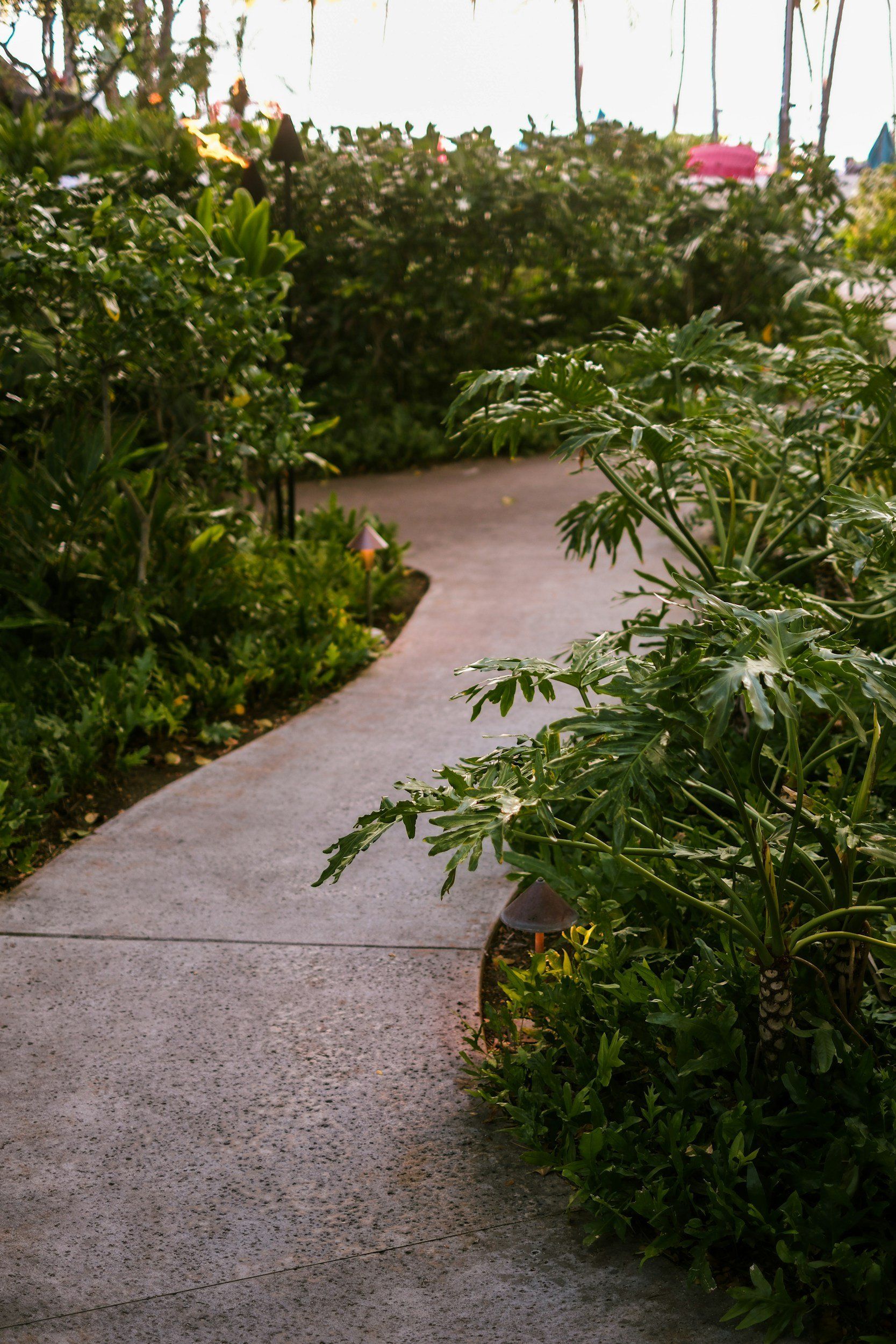 Best Concrete Finishes for Garden Paths