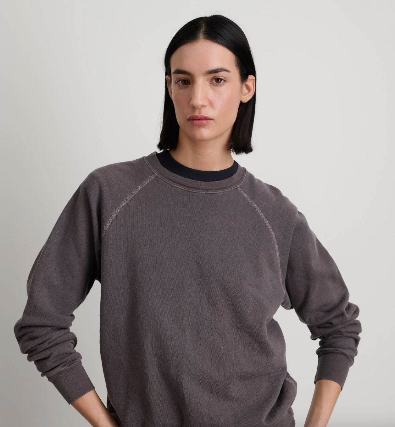 Product Image for Sweatshirt, Botanical Dye Lavender