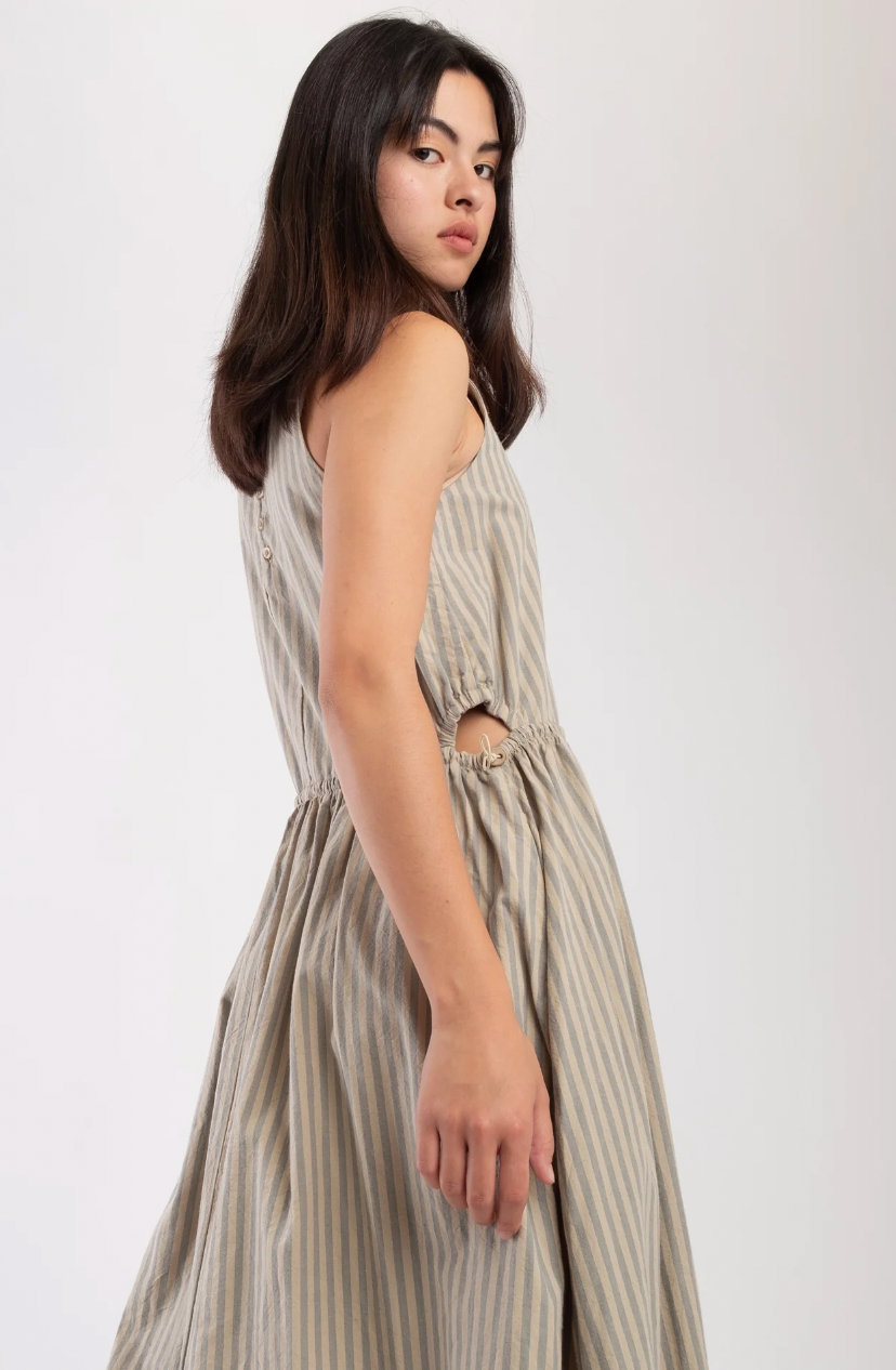 Product Image for Cinch Dress, Muted Stripe