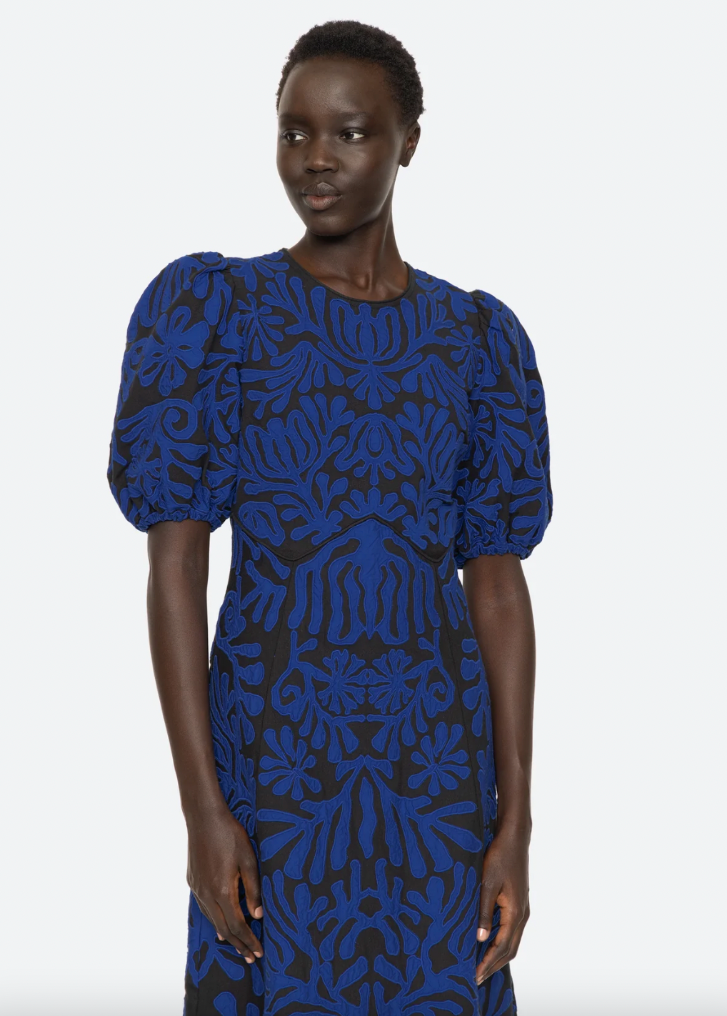 Product Image for Agathe Dress, Blue