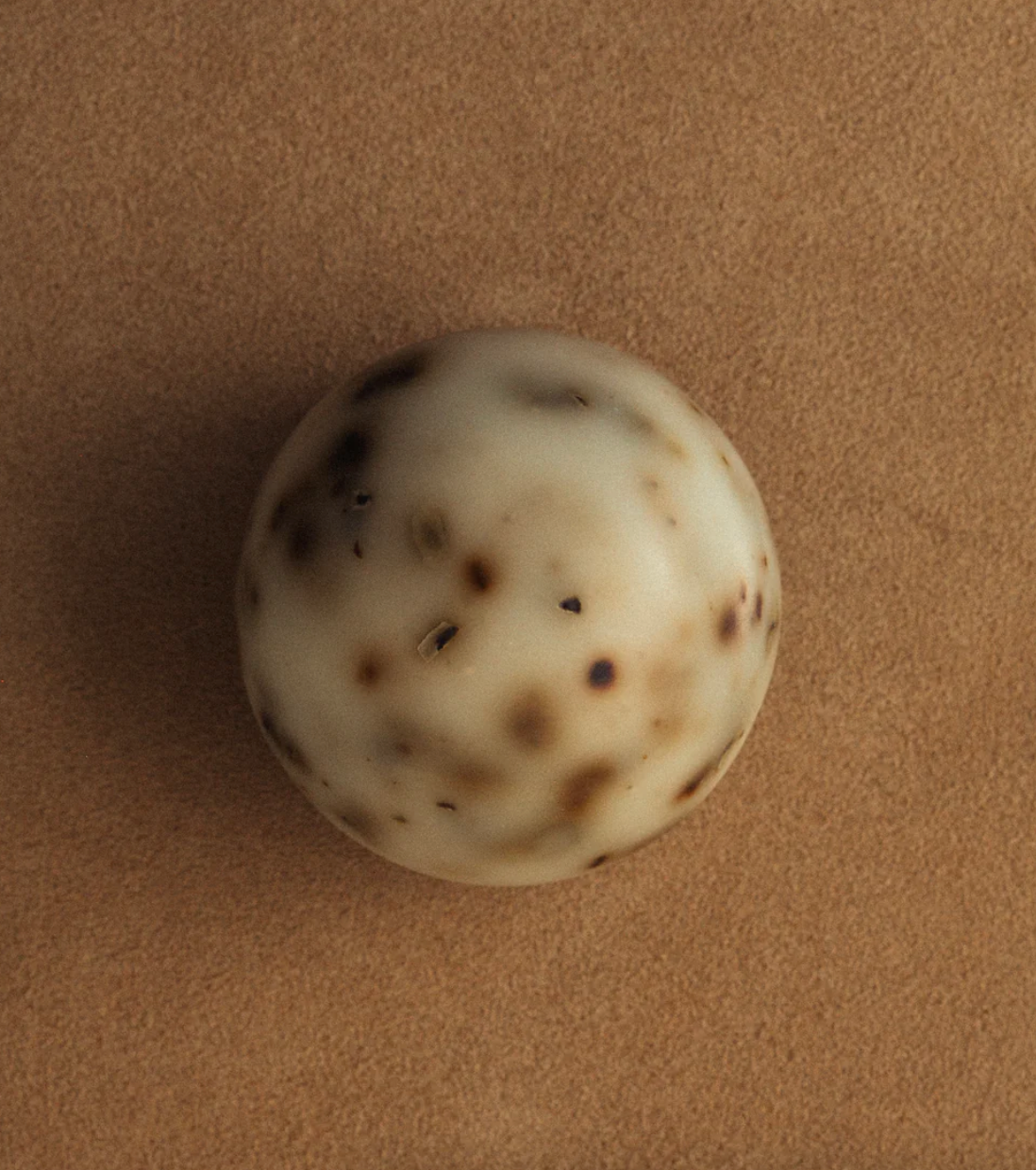 Product Image for Sea Change Seaweed Sphere Soap