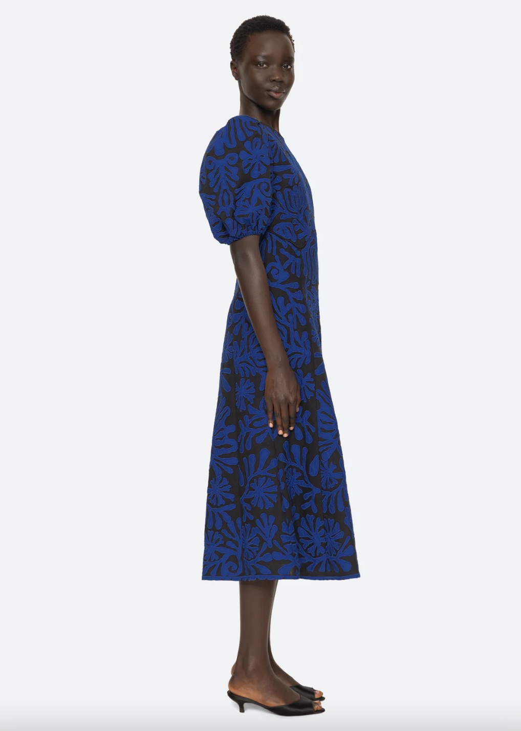 Product Image for Agathe Dress, Blue