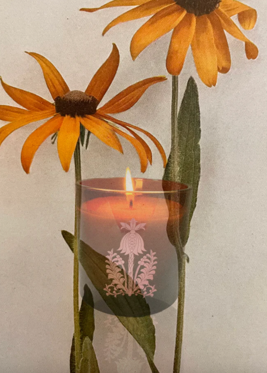 Product Image for Orchard Sun, 14oz Candle