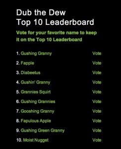 "Dub the Dew Top 10 Leaderboard" listing names like "Gushing Granny," "Diabeetus," and "Moist Nugget."
