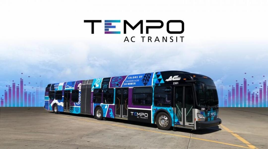A Tempo bus in AC Transit's blue and purple livery, the wordmark above it