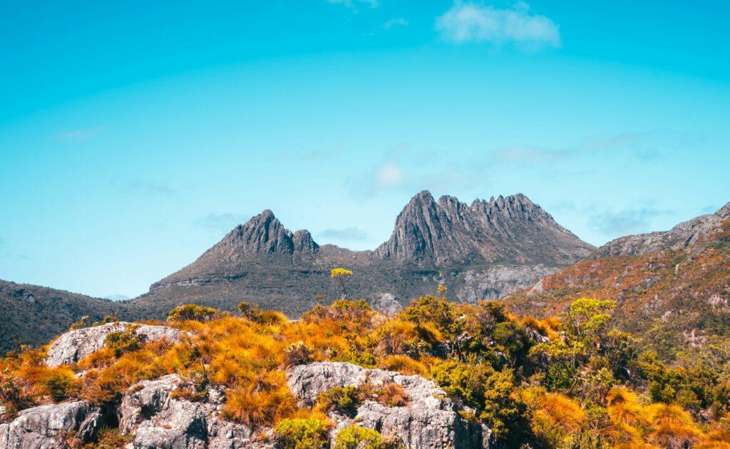 A jagged mountain ridge above scrub turning orange, under a clear sky