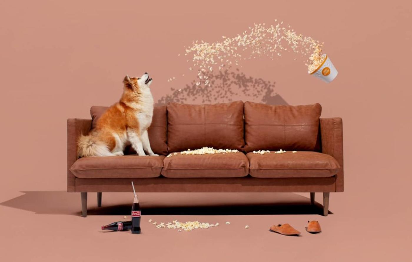 A dog watching a tub of popcorn fly over a tan leather sofa