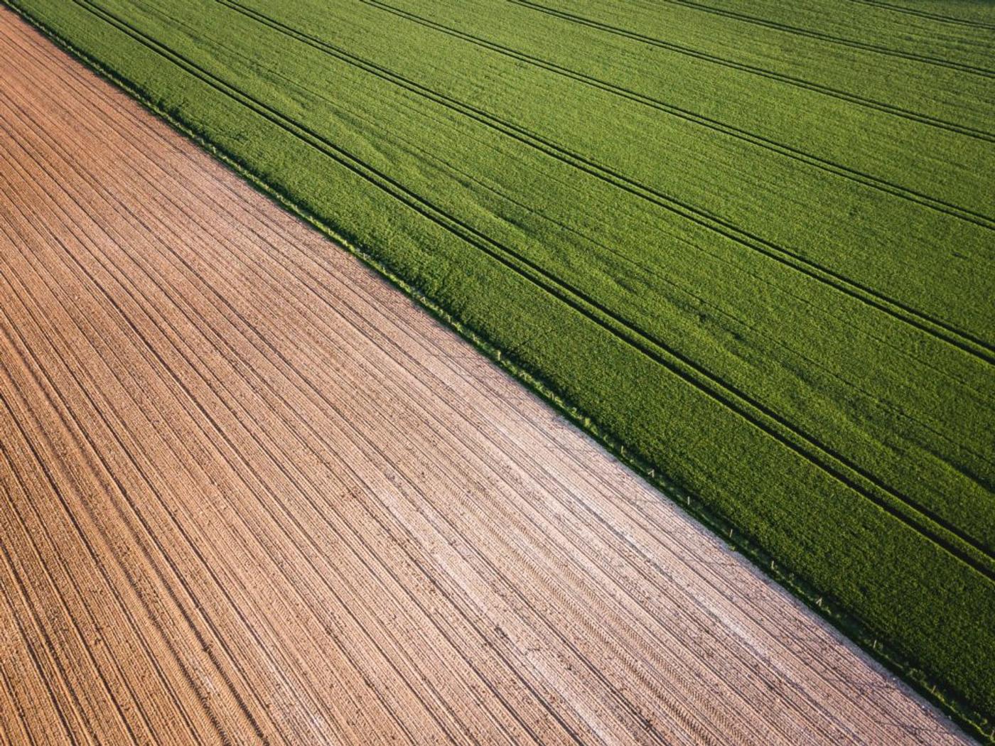 Ploughed earth meeting a green field along a hard diagonal, seen from above