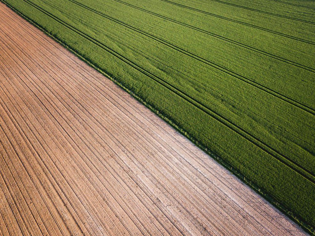 Ploughed earth meeting a green field along a hard diagonal, seen from above
