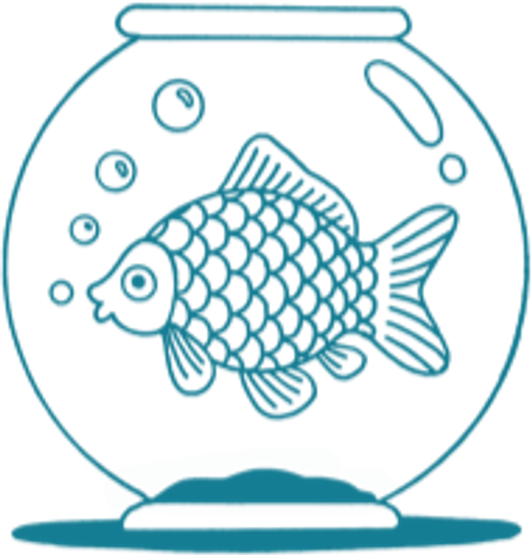A fishbowl with a fish in it